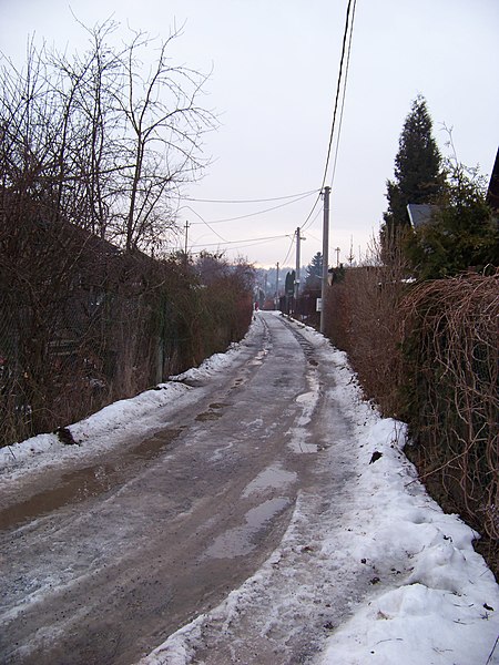 File:Černošice, Křížovy lázně, cesta.jpg