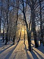 * Nomination: Sunrise in a winter forest. Aiyrtau Distrit, North Kazakhstan Region, Kazakhstan. By User:Natgeokz --Красный 00:01, 22 May 2024 (UTC) * * Review needed
