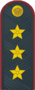 Coronel General del Servicio Penitenciario Federal No.png