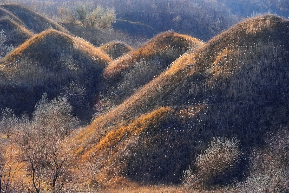 Пригорок горбил значение. Кировоградская область природа. Украина природа. Золото на склоне.