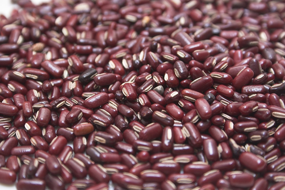 SOLVED: Without beans and other legumes are an excellent source of