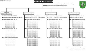 Organisation du 10th SFG(A)