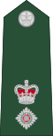 The rank insignia of a Barbadian Colonel (left), Lieutenant-Colonel (centre), and Major (right) of the Barbadian Defence Force featuring the St Edward's Crown