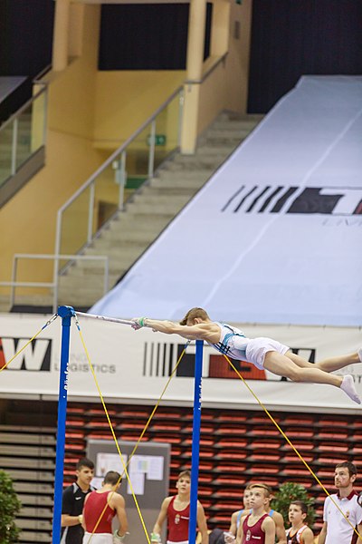 File:15th Austrian Future Cup 2018-11-24 Jurii Busse (Norman Seibert) - 10752.jpg