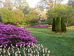 Sherwood Gardens