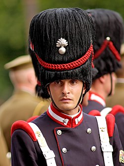 Vojnik 1. sardinske pukovnije grenadira za vrijeme proslave Dana Bastille 2007. godine.