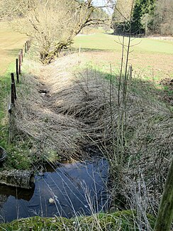 Gillesbach bei Marmagen