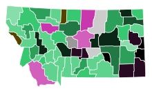 Results by county
Map legend
Kelly--100%
Kelly-->=90%
Kelly--80-90%
Kelly--70-80%
Kelly--60-70%
Kelly--50-60%
Kelly--40-50%
Kelly/Adams tie--30-40%
Kelly/Adams tie--50%
Adams--50-60%
Adams--60-70%
Adams--100%
No votes 2018 MT US Senate Green primary.svg
