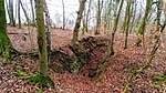 20190302 113932 Schurf pit Mehlbach.jpg