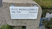 Miniatuur voor Truus Wijsmullerbrug