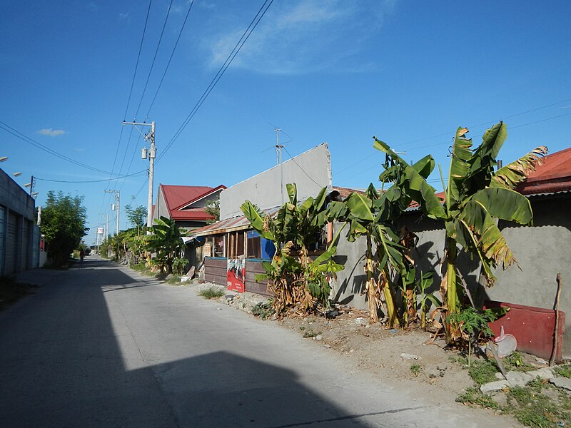 File:3301jfLara Saguin Welcome San Fernando Pampangafvf 18.JPG