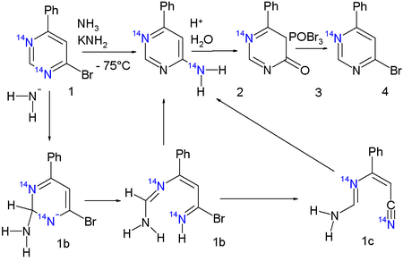 ANRORC isotopeScrambling.png