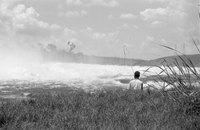 ASC Leiden - NSAG - van Es 2 - 014 - A black man on the shore with reeds fishing with a long rod - Kampala, Uganda - 29-11-1961 - 4-12-1961.tif