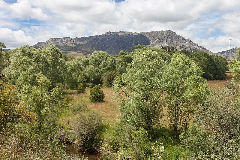 File:A natureza en Villamanín de la Tercia. León-21.jpg