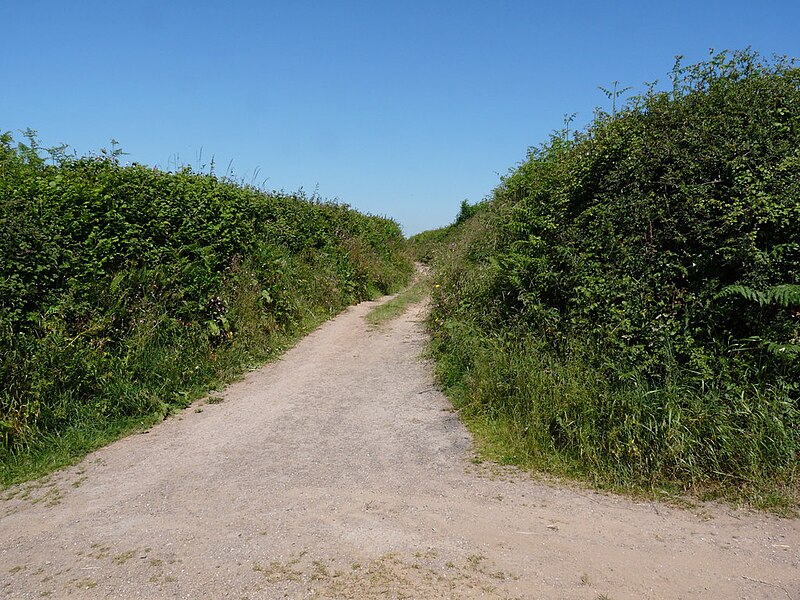 File:A track which leads from Northfield Lane to North Buckland - geograph.org.uk - 1921389.jpg