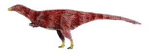 <i>Achillesaurus</i> Extinct genus of dinosaurs