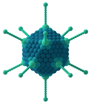 <span class="mw-page-title-main">Capsomere</span> Subunit of a capsid