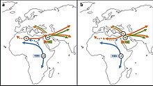 Africa origin thesis for L3 Fig4 HTML.jpg