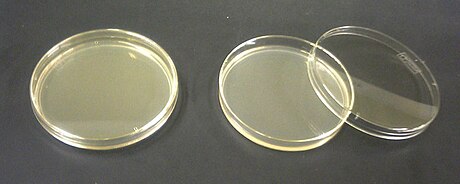 Agar