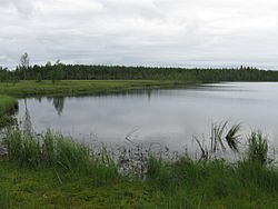 Näkymä järven pohjoisrantaan