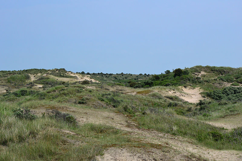 File:Amsterdamse Waterleidingduinen 03.jpg