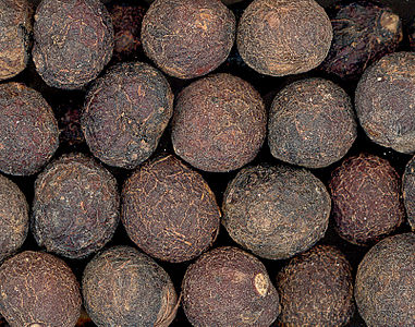 Anamirta cocculus Dried fruits