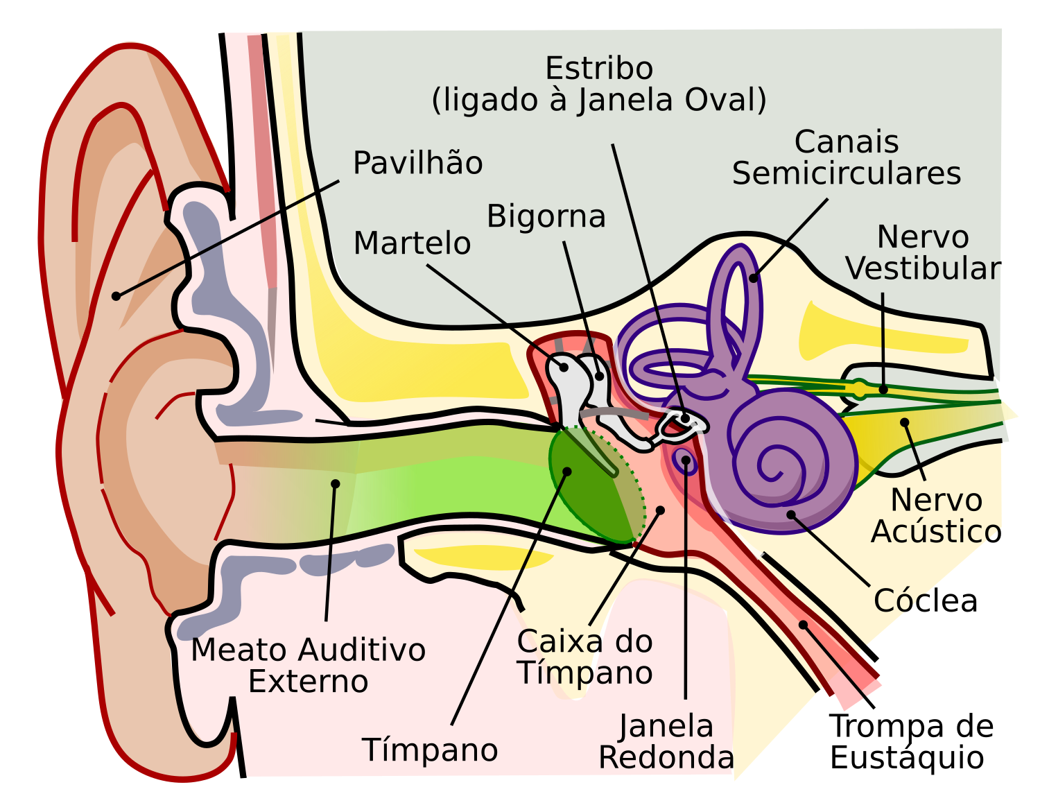 Atraso de propagação de sinal – Wikipédia, a enciclopédia livre