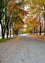 Vignette pour Petites Sœurs de la Sainte-Famille (Sherbrooke)