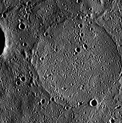 Aristoxenus crater EW0226626595G.jpg