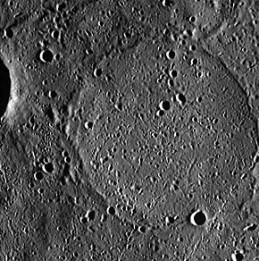 Aristoxenus crater EW0226626595G.jpg