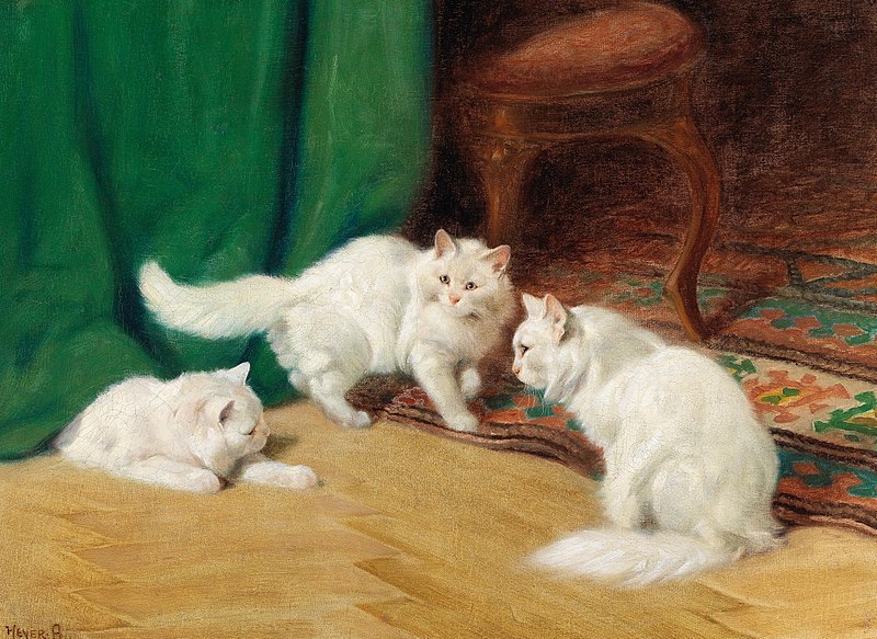 File:Arthur Heyer - Conversation amongst Cats,.jpg