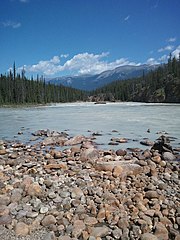 Athabasca River in July, 2013