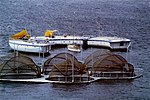 Thumbnail for Antarctic Technology Offshore Lagoon Laboratory