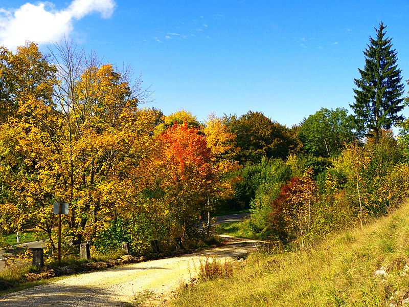 File:Autumn Colours - panoramio (5).jpg