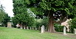 Jüdischer Friedhof (Bad Driburg)