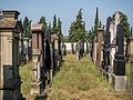 * Nomination Grave stones at the Jewish cemetery in Bamberg --Ermell 19:59, 31 October 2016 (UTC) * Promotion Good quality. --Poco a poco 23:28, 31 October 2016 (UTC)
