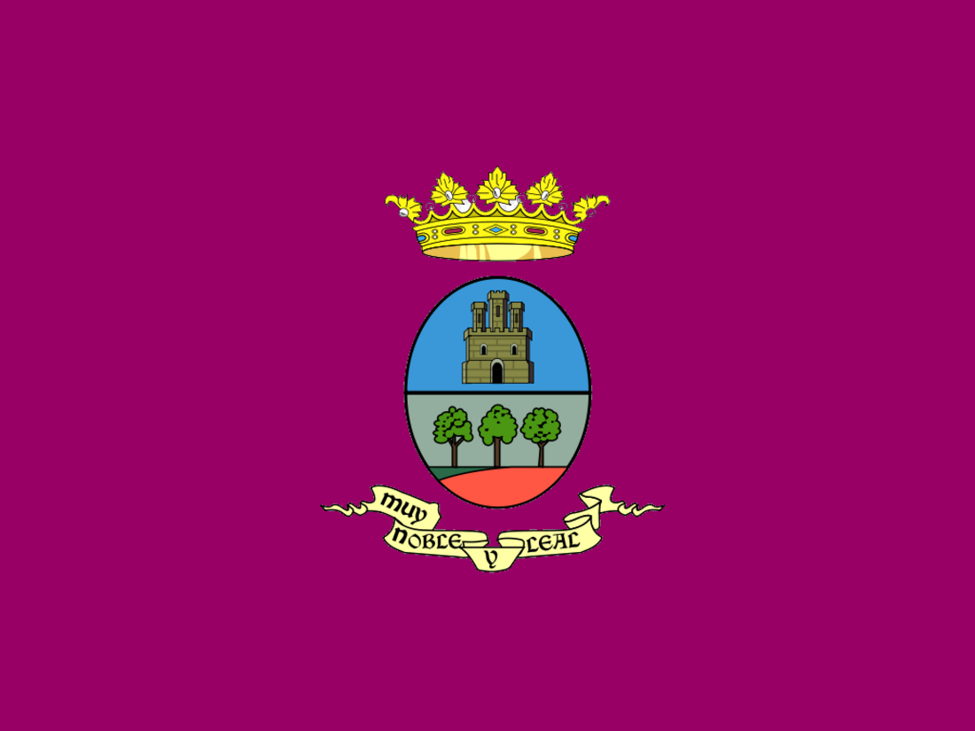 File:Bandera Villarrobledo Albacete.png