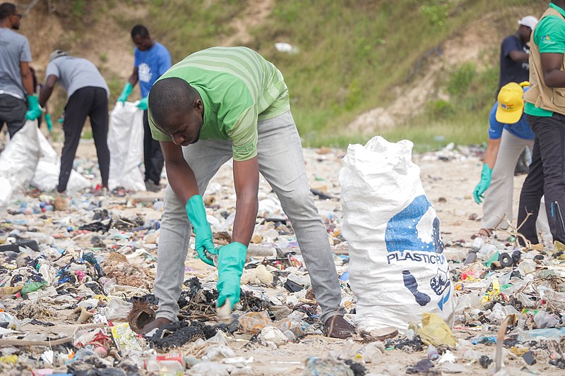 File:Beach plastic waste 2.jpg