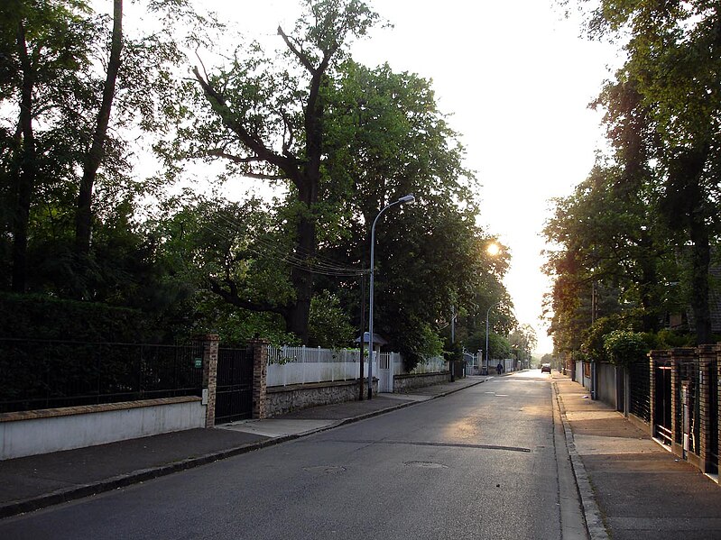 File:Beauchamp - Avenue Pasteur 02.jpg