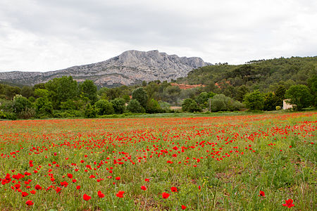 Montagne Sainte-Victoire from Beaurecueil (village in valley)