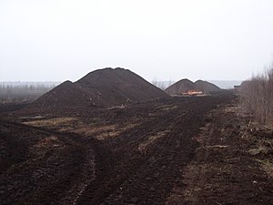 Tourbière: Conditions dapparition et de maintien des tourbières, Classification et typologie des tourbières, Formation des tourbières et de la tourbe