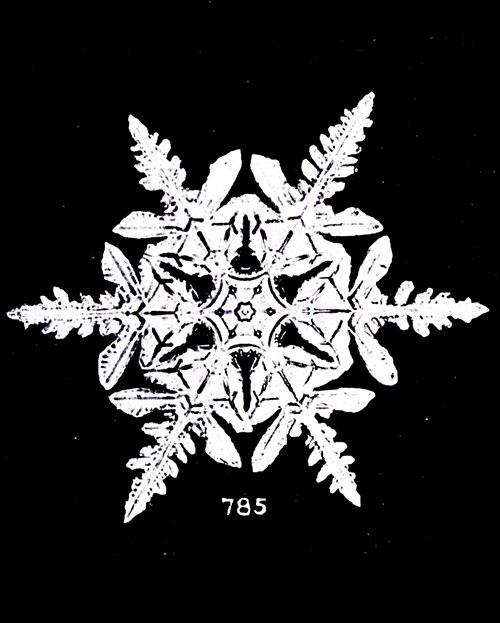 Bentley Snowflake 785.jpg