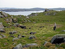 The flat top of Bearasaigh. The visible depression is believed to have been an artificial loch created by MacLeod's men to collect fresh water.