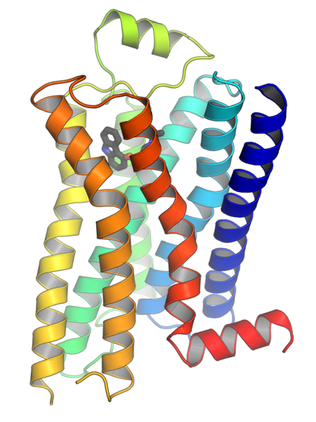 Reseptor bergandingan protein G