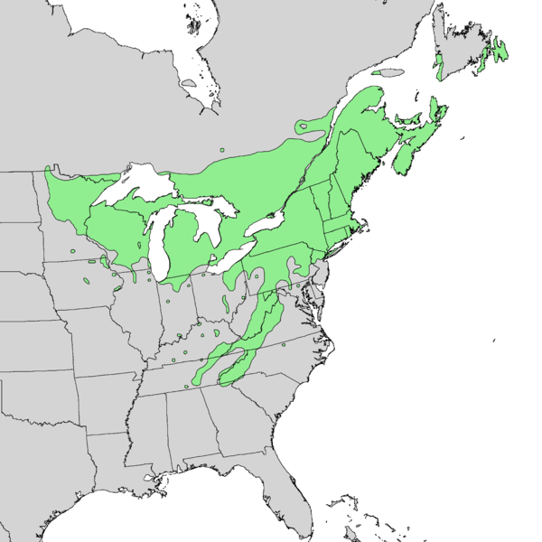 File:Betula alleghaniensis range map 1.png