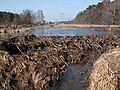 2012年3月11日 (日) 23:28時点における版のサムネイル