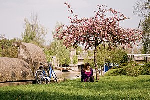 Timișoara: Loĝantaro, Historio, Vidindaĵoj