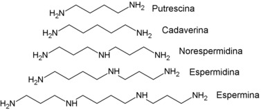 Putrescina - Wikipedia, la enciclopedia libre