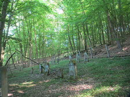 BischhausenJüdischer Friedhof 1