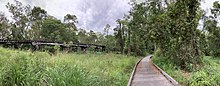 Boardwalk dengan Jalur Kereta